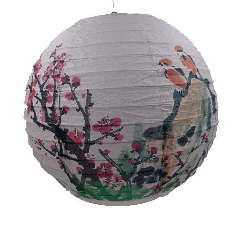 Lampion papierowy z nadrukiem  – Photography Of The Day recenzja i cena
